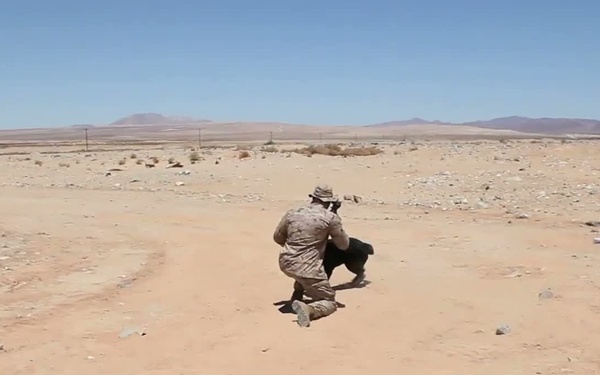 1st Law Enforcement Battalion Trains During Javelin Thrust 2012