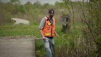 Wetland Delineation