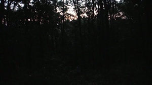 USARC Best Warrior 2012: Night/Day Land Navigation Course