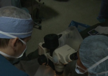 Team Work is the Key to Success