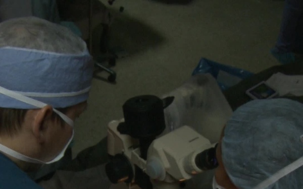 Team Work is the Key to Success