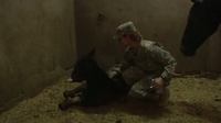 Soldier competes in equestrian sports while deployed