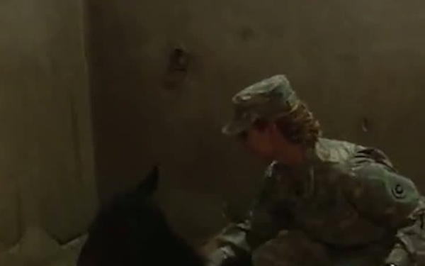 Soldier competes in equestrian sports while deployed