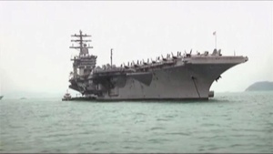 Biofuel helps power Navy war training