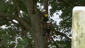 Volunteers spruce up Arlington National Cemetery