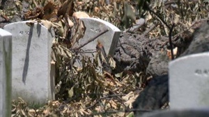 Storm clean up underway at Arlington National Cemetery