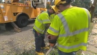 Virginia declares state of emergency