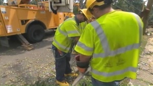 Virginia declares state of emergency