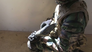 Forces From Malaysia, Tonga and U.S. Conduct Mout RIMPAC 2012