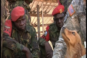 Canine Care for Military Police at Southern Accord 2012