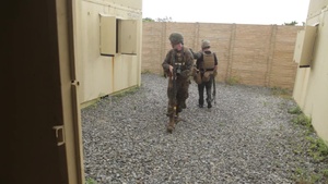 Hostile Town Falls Prey to Helo Company