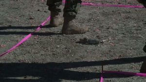 Force On Force Training