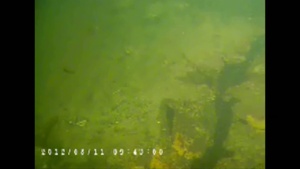 Dive Ops