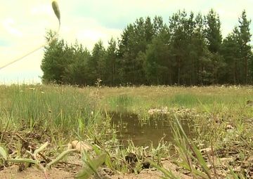 Training Among Endangered Species (Master Version)