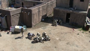 Integrated Training Exercise