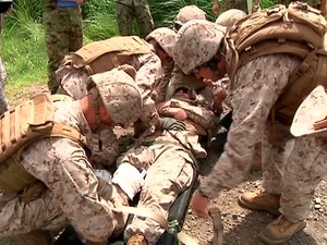 HELO Exercise