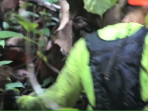 Minuteman Report: Hawaii Guardsmen Hunt for Invasive Species