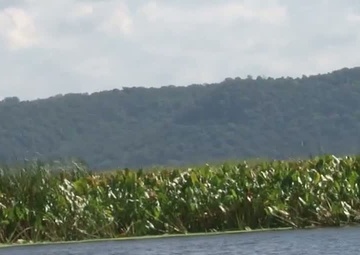 Upper Mississippi River Habitat Restoration – Pool 8