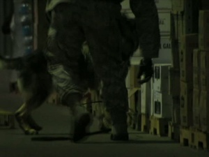 Working Dogs (Without Graphics)
