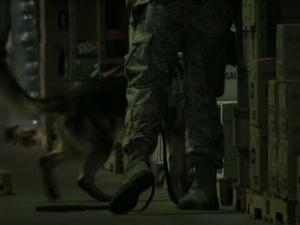 Working Dogs (With Graphics)