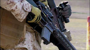 3D BN 3D MAR Range FireTeam Movement Exercises