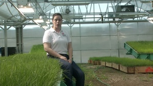 Colorado State University assists Corps in overtopping tests