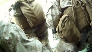 AAV EGRESS POV