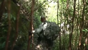 Air Assault Operation