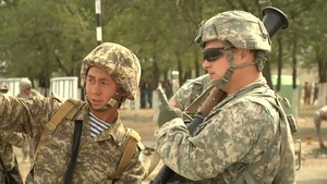 Steppe Eagle 2012