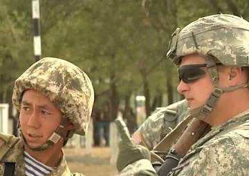 Steppe Eagle 2012