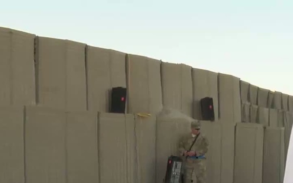 Army 10-Miler Shadow Run - Prime Cuts