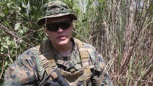 MarinesTV Headlines: Cover and Concealment - Marines Conduct Scout Sniper Training with Filipino Forces