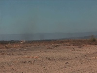 Wall of Fire Ignites Crowd at Miramar