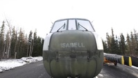 Historic Bird Nests in Alaska National Guard Memorial Park