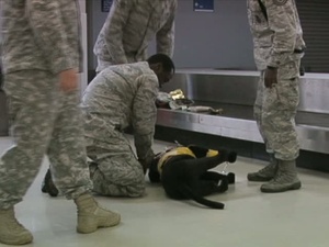 First Aid Training (With Graphics)