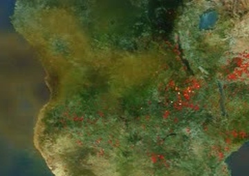 Unprecedented Fires in Southern Africa : Image of the Day