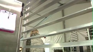 Public Health Technicians Help With Sandy Response