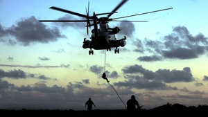 Red Lions Grow Wings for First Flight