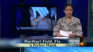 Around the Air Force: Bone Marrow Donor, Short Version