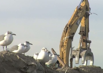 Riis Park Debris Site