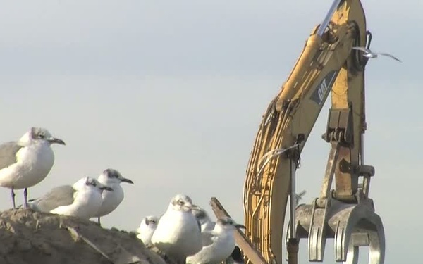Riis Park Debris Site