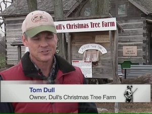 Minuteman Report- Indiana Guardsmen Gather Trees for Troops