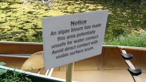 The Choice is Yours: Clean or Green Water (30 sec version)