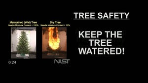 Christmas Tree Safety PSA
