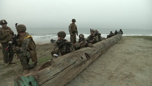 Marines and Singaporean Guardsmen Conducting Valiant Mark Live Fire Maneuver Training