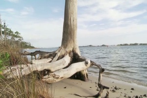 Hurlburt Field Salt Marsh