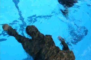 Taking the Plunge (with Graphics)