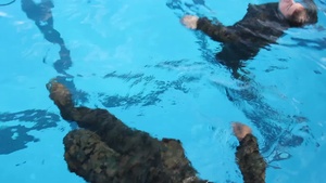 Taking the Plunge (Without Graphics)