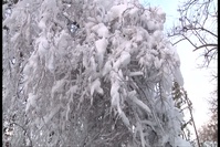 Arkansas National Guard Supporting Winter Weather Missions Following Christmas Storm