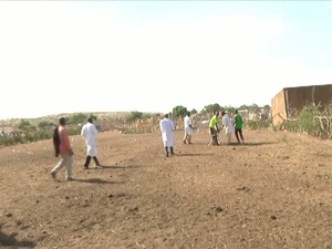 Improving National Security with Cattle